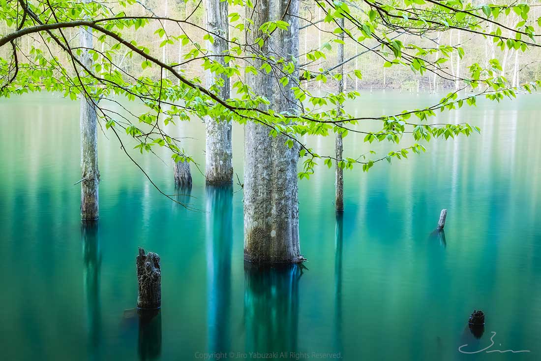 湖 - / Nature Landscape - Lake View - – Jiro Yabuzaki