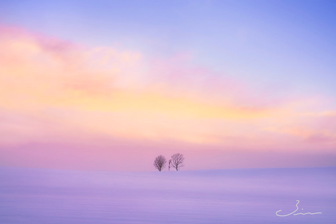 光と風のとおりみち