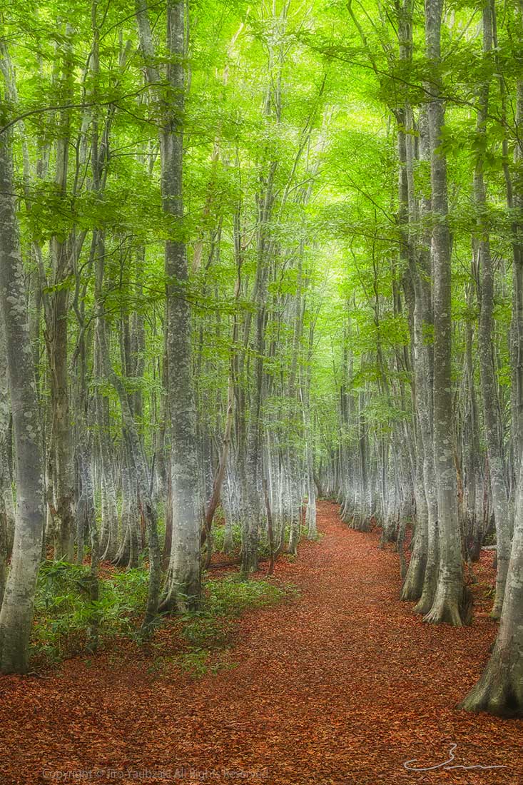 FROM HERE TO ETERNITY