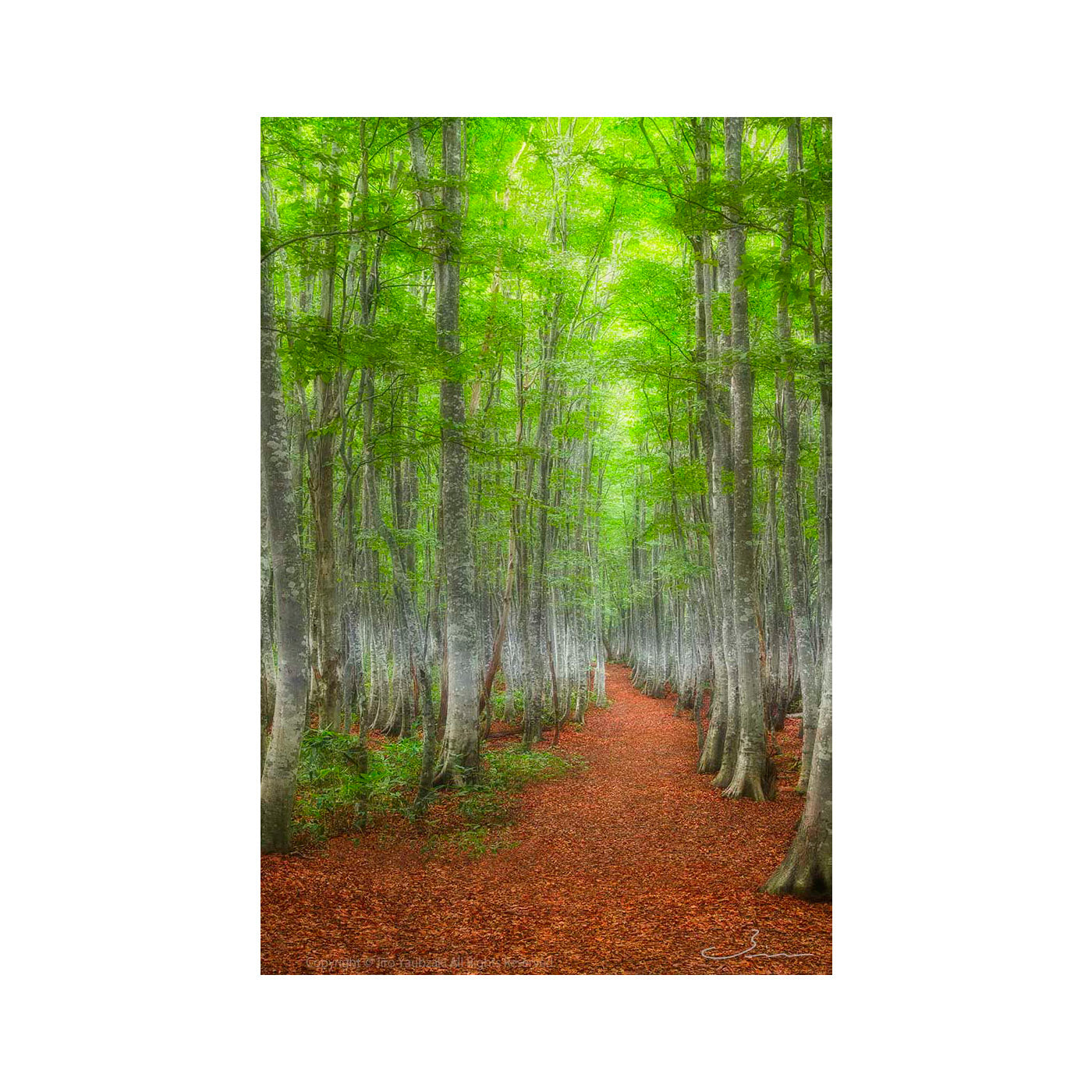 FROM HERE TO ETERNITY