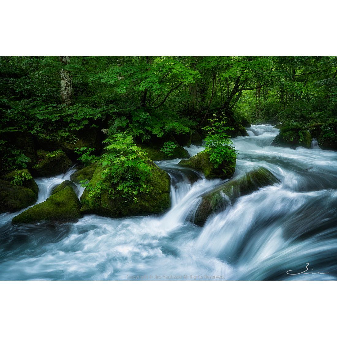 初夏黎明渓流図