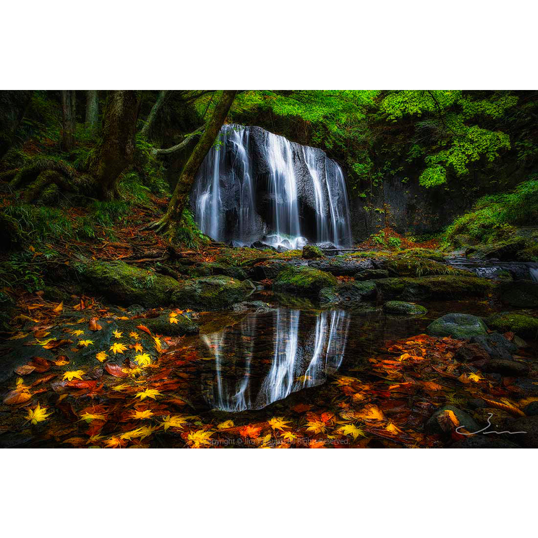 滝 - / Nature Landscape - Waterfall - – Jiro Yabuzaki