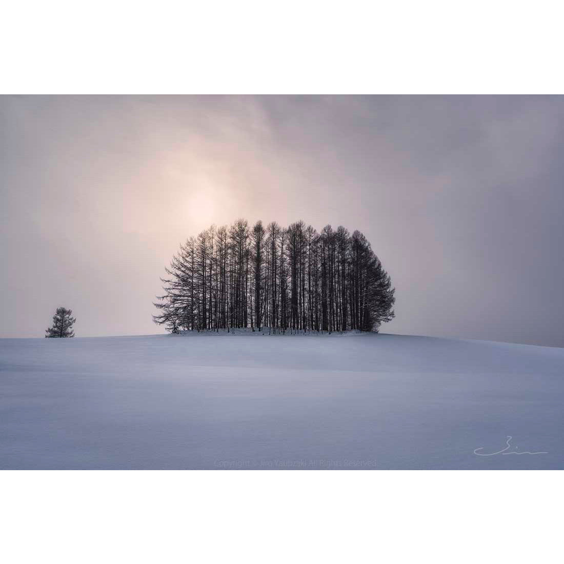 雪景 - / Nature Landscape - Snow View - – Jiro Yabuzaki Official 