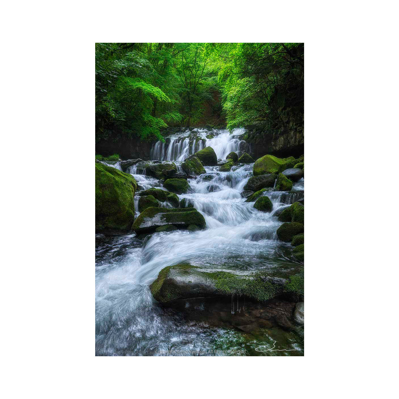 滝 - / Nature Landscape - Waterfall - – Jiro Yabuzaki