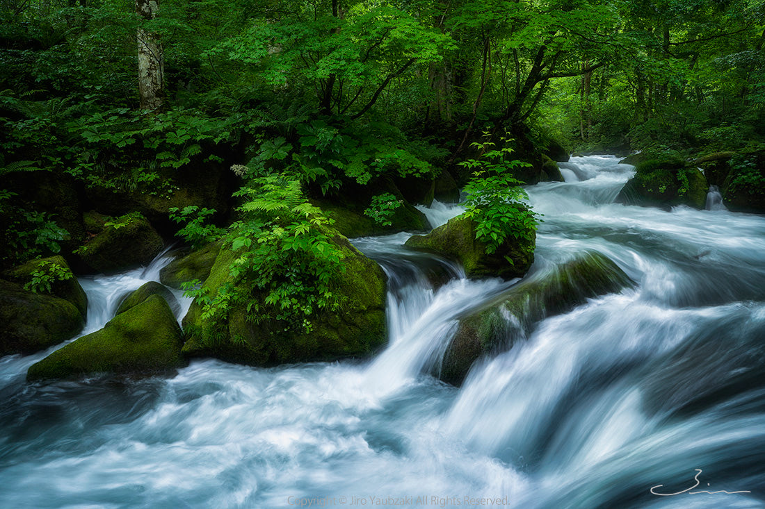 滝 - / Nature Landscape - Waterfall - – Jiro Yabuzaki Official Online Shop